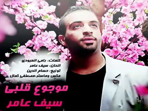 سيف عامر - موجوع قلبي - الأوديو الرسمي