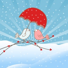 Casal de pássaros apaixonados