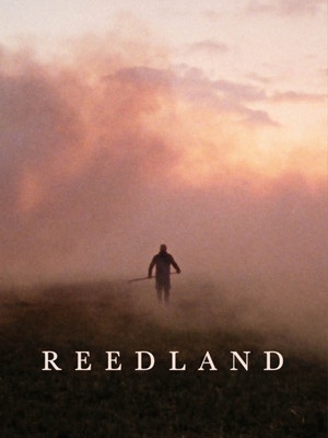 Reedland