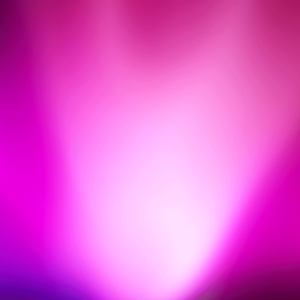 A funny ostrich explodes your screen