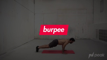 Burpee