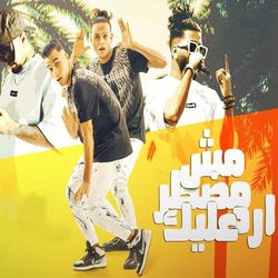 مهرجان مش مضطر ارد عليك