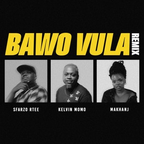 Bawo Vula