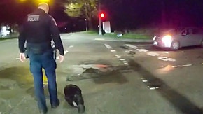 La police aide un castor têtu à traverser une route dans l'État de Washington