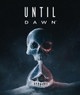 Until Dawn™