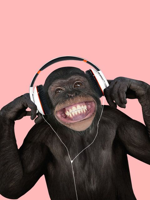 Macaco Mp3 fundo ro
