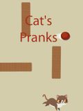 Cat's Pranks
