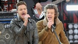 Harry Styles S'Exprime Pour La Première Fois Sur La Mort De Liam Payne