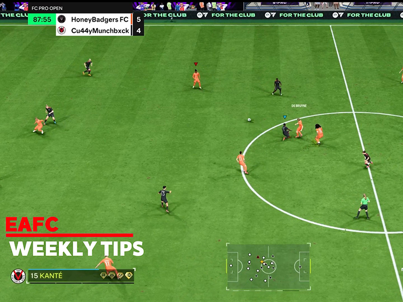 4213 and 4411 - FIFA