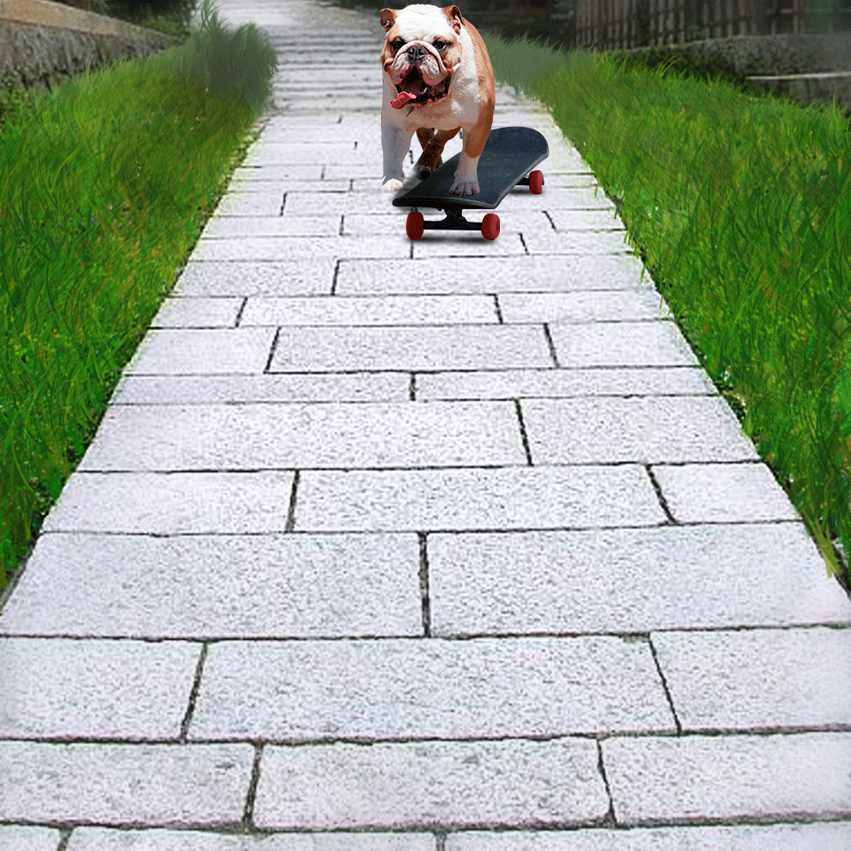 Bulldog skateboard break screen