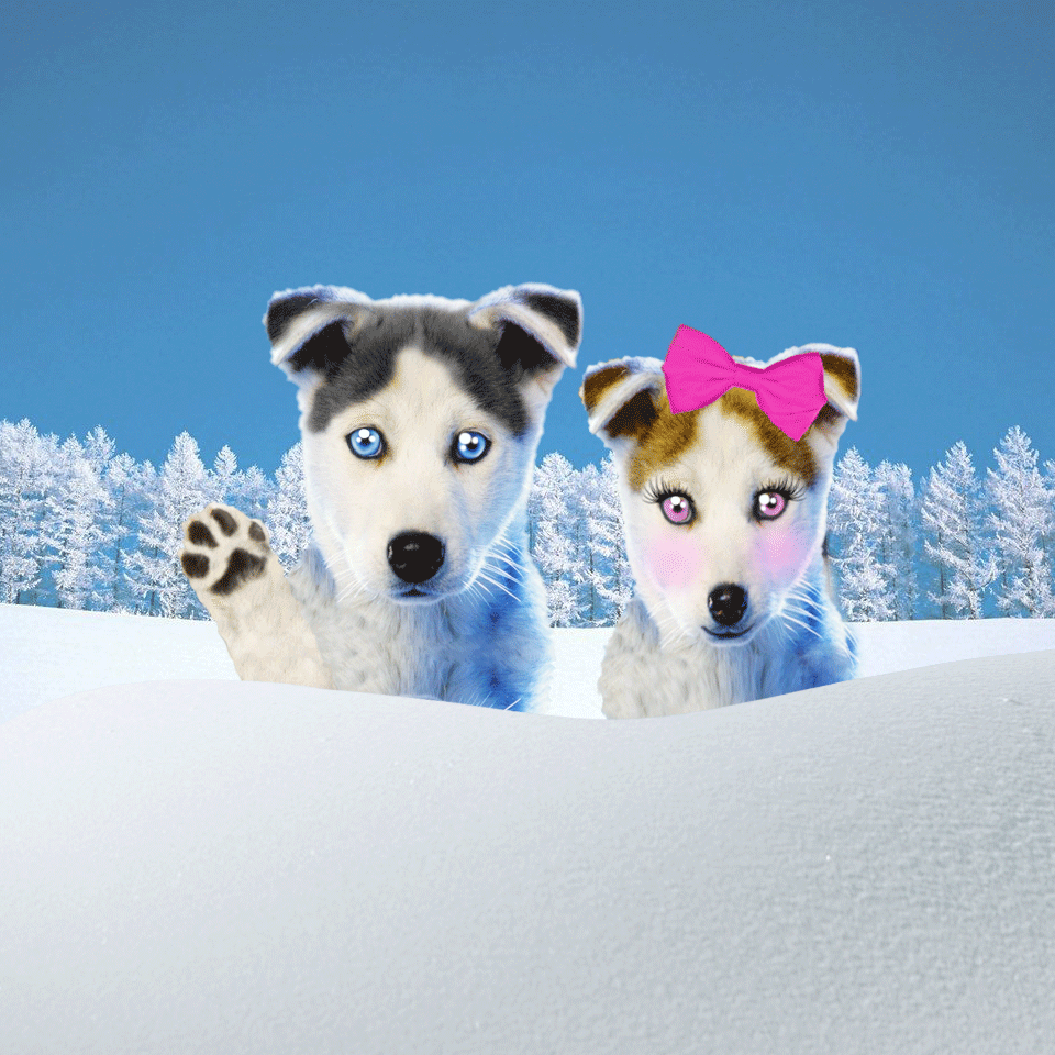 Crispy Bobby and Kiki clean your screen!