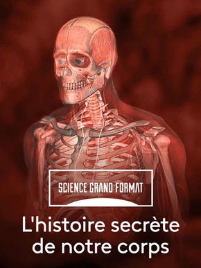 L'Histoire secrète de notre corps