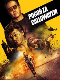 Pogoń Za Callowayem
