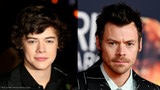 La Vérité Sur L'Ascension Vers La Célébrité De Harry Styles