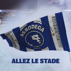 ALLEZ LE STADE