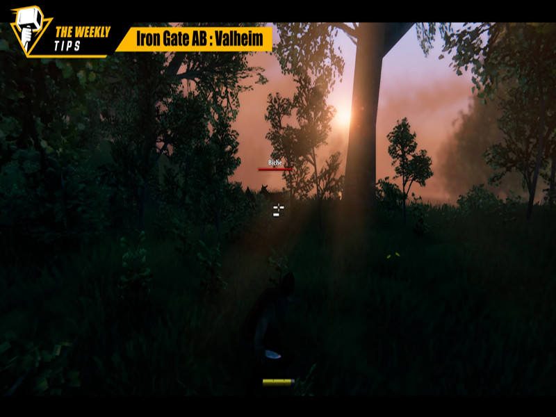 5 tips to know! Part. 2 - Valheim