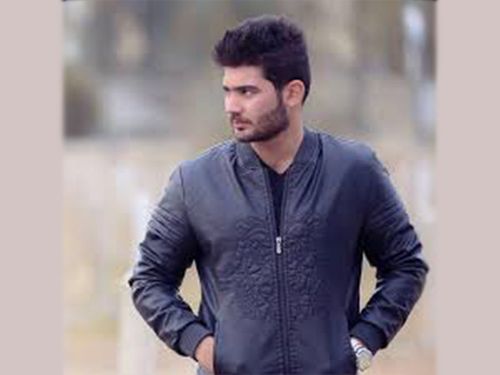 الشاعر سيف الزين - وحشة ابن