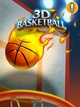 3D Basketball