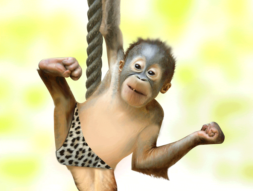 Baby monkey wearing a leopard panty licking your screen!
