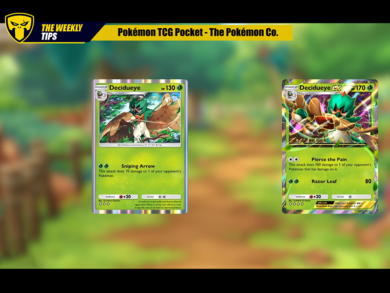 Archéduc EX duo contre tout  - Pokémon TCG Pocket