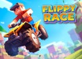 Flippy Race