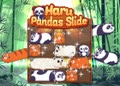 Haru Pandas Slide
