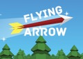 Flying Arrow Flying Arrow