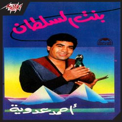 بنت السلطان