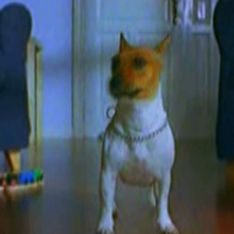 Dog does not recognize his 
living room