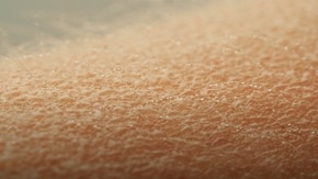 Pourquoi Avons-Nous Des Frissons ? L'Explication Scientifique