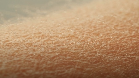 Pourquoi Avons-Nous Des Frissons ? L'Explication Scientifique