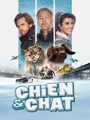 Chien Et Chat
