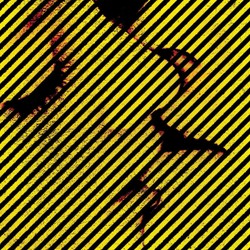 We Are The Underground