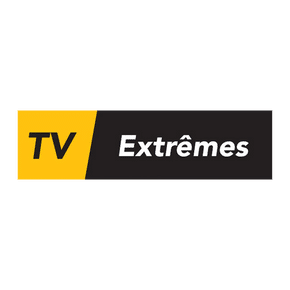 Veedz - Sport - Surf