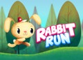 Rabbit Run