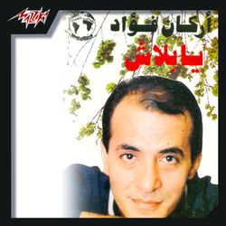 أحلى مافى الليله