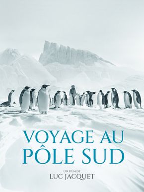 Voyage Au Pôle Sud