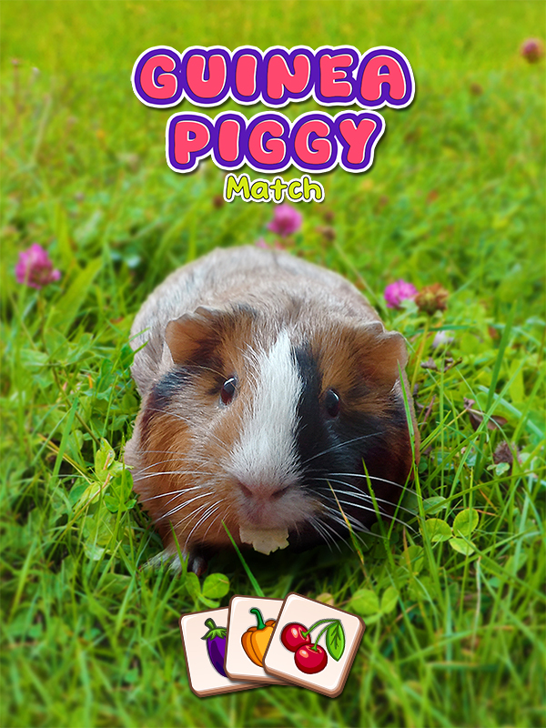 Guinea Piggy Match