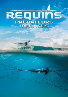 Requins, Prédateurs Menacés