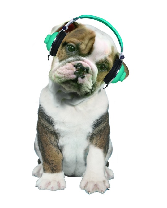 DJ Bulldog e o seu capacete verde