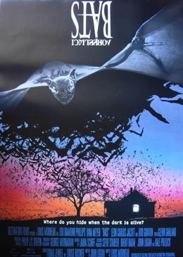 Bats – Fliegende Teufel