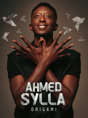 Ahmed Sylla - Origami