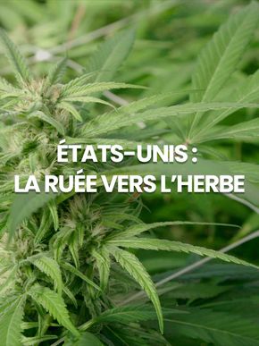 Etats-Unis, La ruée vers l'herbe