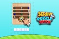 Screw Puzzle Match
