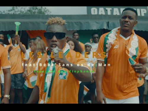 Soutien aux éléphants