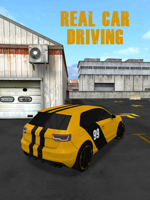 Real Car Driving