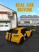 Real Car Driving