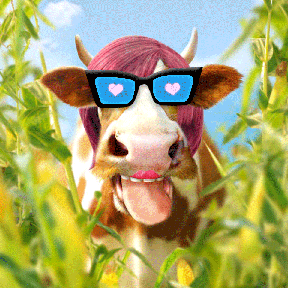 Crazy cow wearing heart glasses licks your screen!