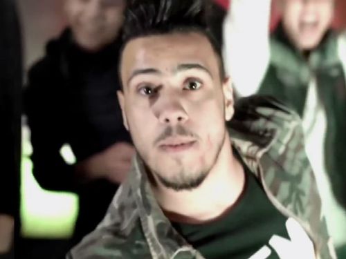 مهدئ التيران