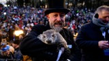 Groundhog Day: 58% Of Americans Trust Phil's Predictions